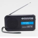 China XIBOMAN DK-1705 FM AM Partable Radio With Bluetooth And AA Battary Support Portable Customize Big LOGO and Bluetooth for sale
