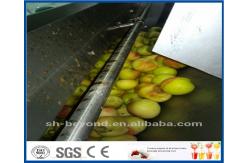 China CE Apple Processing Line with Automatic Disinfection Liquid Concentration Control System supplier