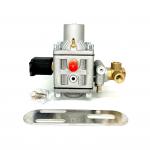 Medium Pressure CNG Car Gas Regulator For vehicle Sequential Injection System for sale