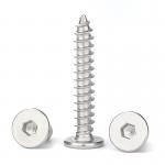 Carbon Steel Self Tapping Screw M3.5 / 3.9 / 4.2 / 4.8 Hex Socket Cap Screw for sale