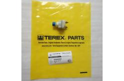 China TEREX 2460404 brake switch for terex tr35a supplier