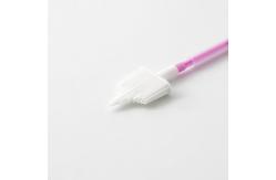China Endocervical Sterile Histology Cervical Brush PE Head supplier