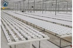 China NFT Hydroponic PVC Growing Pipes System For High Yield Lettuce Cultivation supplier
