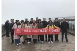 china Dry Bread Crumbs exporter