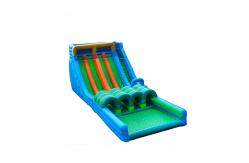 China Aldult  Outdoor Rental Inflatable Large Water Slides With Bouncy supplier