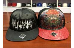 China OEM Flat Bill Sports Snapback Hats Customized Printing Chinese Logo supplier