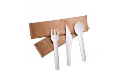 China Sustainable Biodegradable Plastic Cutlery supplier
