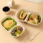 Home Compostable Sugarcane Container Microwavable Meal Take Out Food Containers