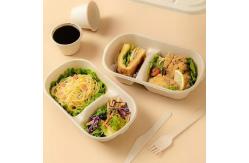 China Home Compostable Sugarcane Container Microwavable Meal Take Out Food Containers supplier