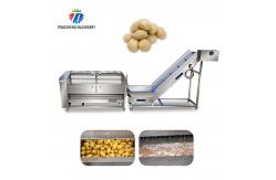 China 1.5 Tons / Hour Fruit And Vegetable Processing Line Root Brush Washing supplier