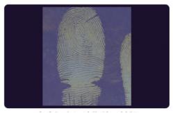 China C205 BTDM-Ⅰ Vacuum coating fingerprint developing instrument supplier
