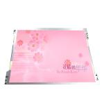 AUO 12.1 inch LCD Screen G121XN01 V001 with  industrial lcd panel 105ppi for sale