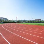 Soundproof Synthetic Sports Flooring Colorful Polyurethane Binder EPDM Rubber Running Track for sale