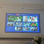 Nano Coated HD Projection Screens 170 Degree Wall Mounted Projection Screens White