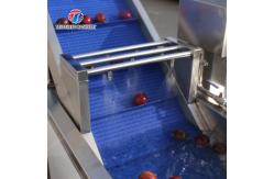 China SS Fruit And Vegetable Hair Roller Bubble Cleaning Machine 800KG/H supplier