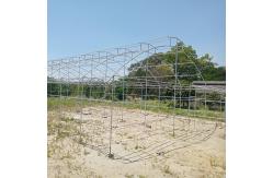 China Umbrella Galvanized Greenhouse Frames Single Span Tropical Tunnel Automatic Vent supplier