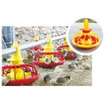 Automatic Feeding System For Broilers And Layers for sale