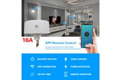 China Brazilian Standard Smart Timer Plug Amazon Alexa Google Plug Socket 2200W supplier