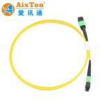 LC OM MTP MPO Fiber Optic Patch Cord 12F MPO-LC PC MPO Fan Out 0.9Mm Patch Cords for sale