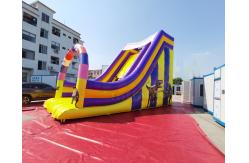 China Playground Jumping Inflatable Slide Bouncer For Birthday Party supplier