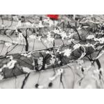 Stretch Polyester Guipure Lace Fabric , Black And White 3D Floral Mesh Fabric