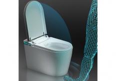 China Automatic Sanitary Ware Items , Black Bathroom Wc Intelligent Ceramic Toilet Bowl supplier
