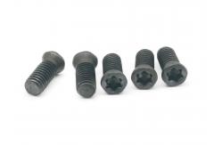 China 12.9 Grade Plum Blossom Screw M2.5x6 SCM435 Material With Umbrella Head supplier