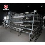 Broiler Baby Chick Cage With Full Feeding System for sale