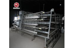 China Broiler Baby Chick Cage With Full Feeding System supplier