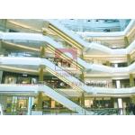 Indoor Large Height Escalator Moving Walk Escalator With 1000mm Step Width for sale