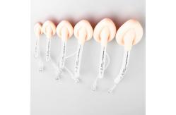 China Double Lumen Silicone Laryngeal Airway Tube With Mask Intubated supplier