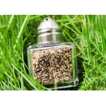 17ml Glass Condiment Shaker by Metalcraft, Featuring a Sturdy Metal Lid for sale
