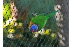 China Durable Parrot Aviary Mesh Stainless Steel High Strength Long Service Life supplier