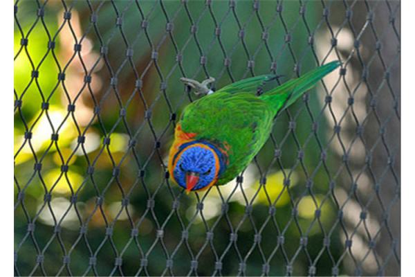 Durable Parrot Aviary Mesh Stainless Steel High Strength Long Service Life