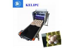 China Egg Thermal Inkjet Printer / Industrial Ink Jet Printer With ABC Standard Font supplier