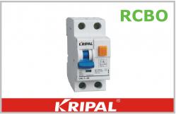 China 1P+N 10kA Residual Circuit Breaker 2 Pole with Over Current RCBO supplier