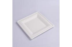 China 10 Inch Green Compostable White Square Paper Green Biodegradable Sugarcane Plates supplier