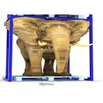 Optional Size Medium Duty Racking System , Warehouse Shelving Racks 200-800 Kgs for sale