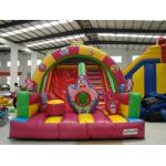 Inflatble Slide / inflatable giant slide 0.55mm PVC Tarpaulin for sale