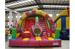 China Inflatble Slide / inflatable giant slide 0.55mm PVC Tarpaulin supplier