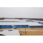 Galvanized Steel Structure Poultry House GB Standard for sale