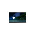 AMS317PN01 3.2 Inch 360(RGB)*640 Resolution LCD Display for Mobile Phone for sale