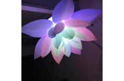 China Customized Inflatable LED Light Advertising Giant Inflatable Flowers supplier