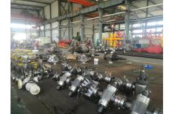 China API Casing Head Deep Well Oil Drilling Equipment Wellhead Down Hole Tools supplier