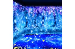 China 3d Immersive Projector Create Immersive Virtual Environments Immersive Projection supplier