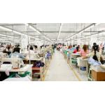 Comprehensive Process Social Audit Service Third Party For Supply Chain for sale