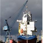 Waterborne Pontoon Crane 5t To 40t Optional Capacity for sale