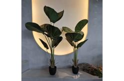 China Realistic Artificial Fan Palm Tree with Natural Green Foliage supplier