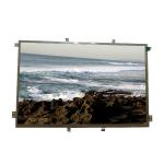 RGB Triangle LVDS B101EVN02.0 TFT LCD Screen Panel For Pad & Tablet for sale