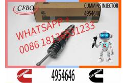 China Remanufactured High Quality Common Rail Diesel Fuel Injector 4954645 4954646 supplier